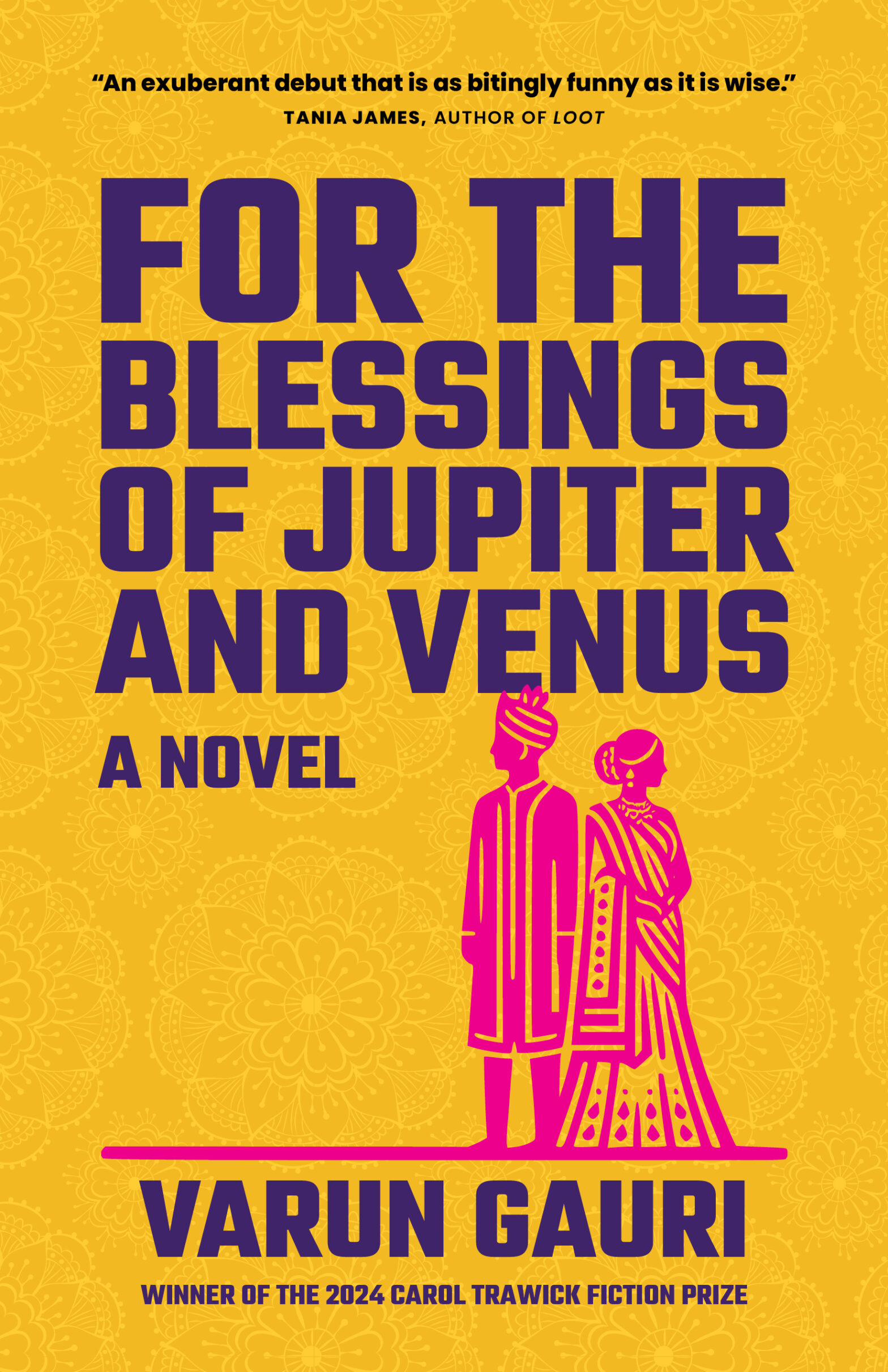 For the Blessings of Jupiter and Venus by Varun Gauri is an intimate, funny, heartbreaking novel about the Indian-American community and the politics of marriage in small-town America. An award-winning, acclaimed debut novel.